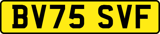 BV75SVF