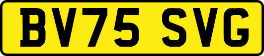 BV75SVG