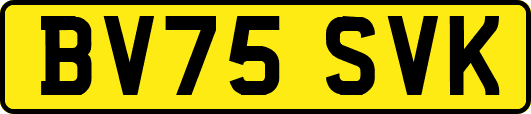 BV75SVK