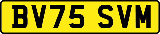 BV75SVM