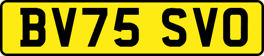 BV75SVO