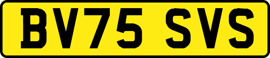 BV75SVS