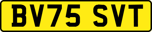 BV75SVT