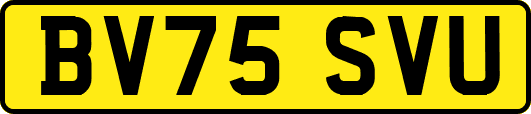 BV75SVU