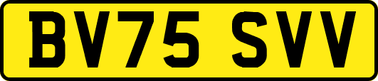 BV75SVV