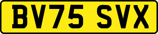 BV75SVX
