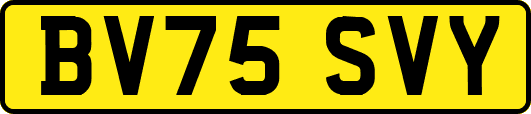 BV75SVY