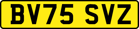 BV75SVZ