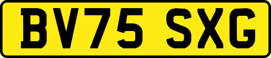 BV75SXG