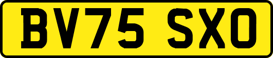 BV75SXO