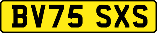 BV75SXS