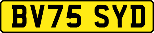 BV75SYD