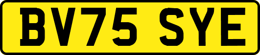 BV75SYE