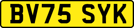 BV75SYK