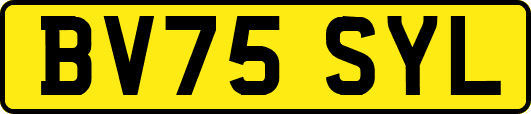 BV75SYL