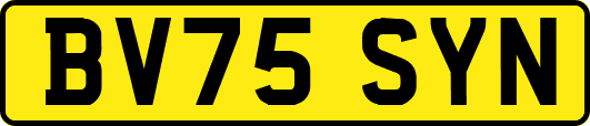 BV75SYN