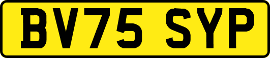 BV75SYP