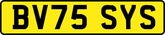 BV75SYS
