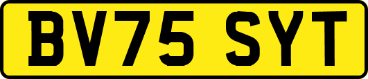 BV75SYT