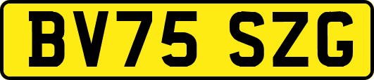 BV75SZG