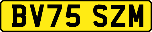 BV75SZM