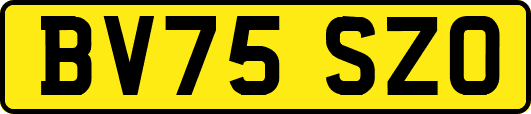 BV75SZO