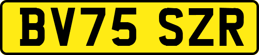 BV75SZR