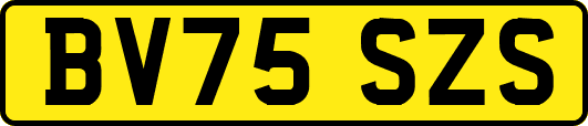 BV75SZS
