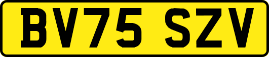 BV75SZV