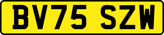 BV75SZW