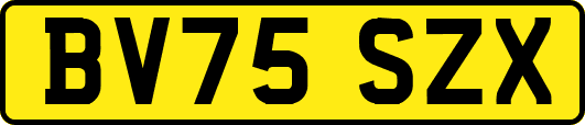 BV75SZX