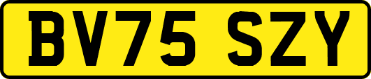 BV75SZY
