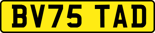 BV75TAD