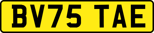 BV75TAE