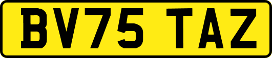 BV75TAZ