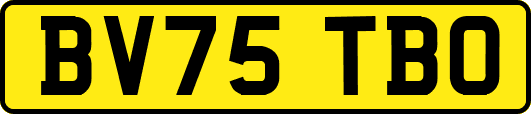 BV75TBO