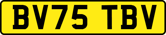 BV75TBV