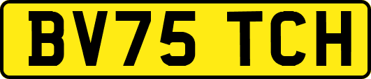 BV75TCH