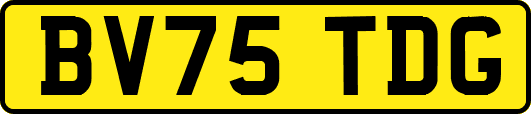 BV75TDG