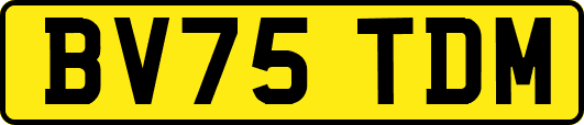BV75TDM