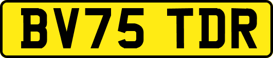 BV75TDR