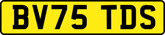 BV75TDS