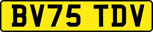 BV75TDV