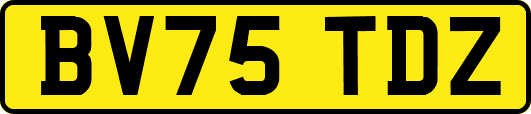 BV75TDZ