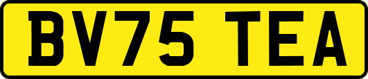 BV75TEA
