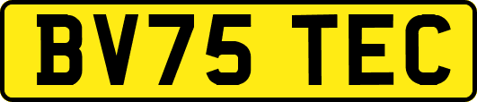 BV75TEC