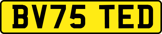 BV75TED