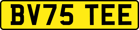BV75TEE