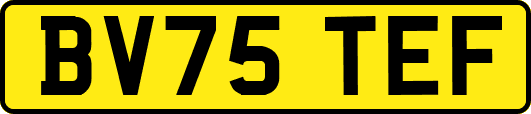 BV75TEF