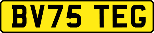 BV75TEG